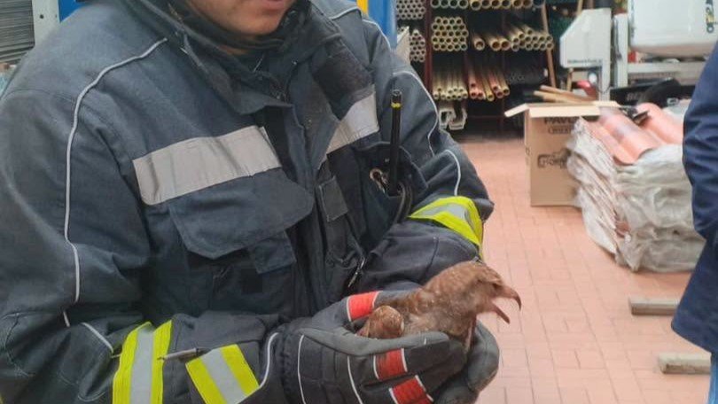 Bomberos Ipiales