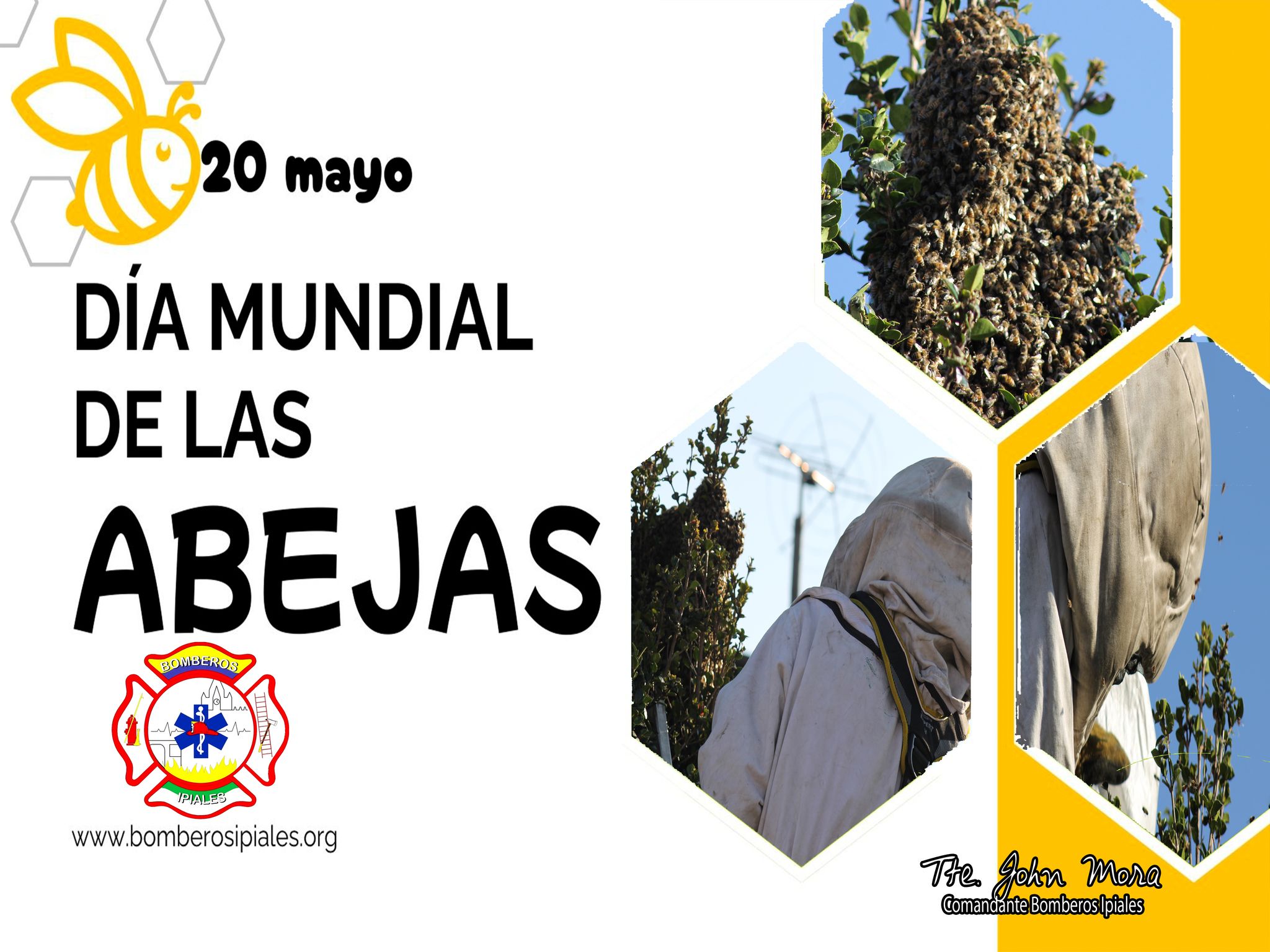 control de abejas Bombero Ipiales